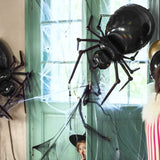 Tierballon XXL Spinne