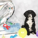 Heliumballon-Geschenk XXL Folienballon Wunschzahl - DECORAMI
