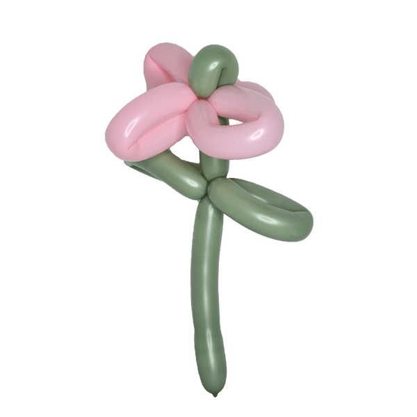 Modellierballon Eukalyptus 10 Stk.