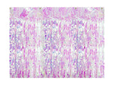 Party Glitzer-Vorhang lang Irisierend - DECORAMI